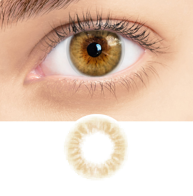 RSY08 Coco Hazel RSY08 Coco Hazel