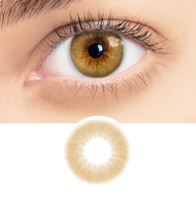 RSY09 Sicily Hazel RSY09 Sicily Hazel