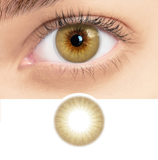 RSY12 Classy Hazel RSY12 Classy Hazel